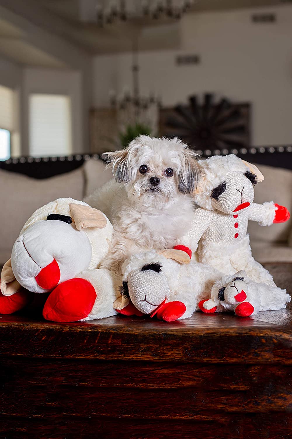 Keep Your Dog Active and Entertained with These 4 Best Dog Toys!