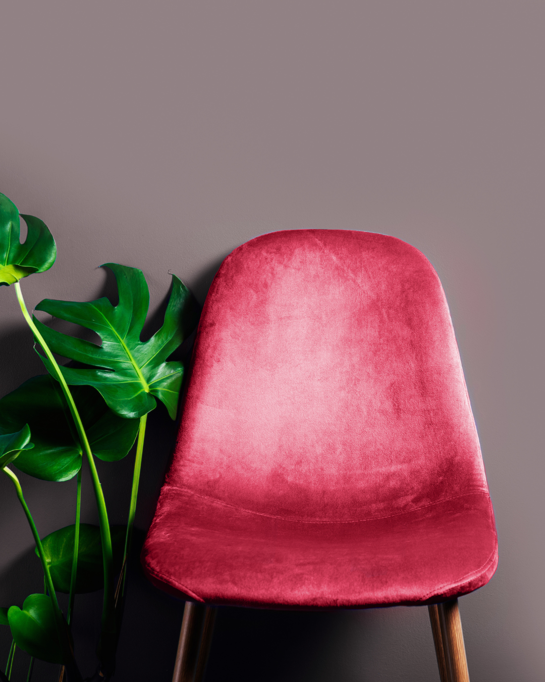 4 Magenta Home Decor Items That Will Be Hot In 2023