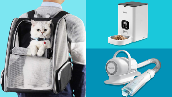 3 Best Father's Day Gifts for Fur Dads